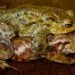 Toads
