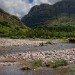 Glencoe