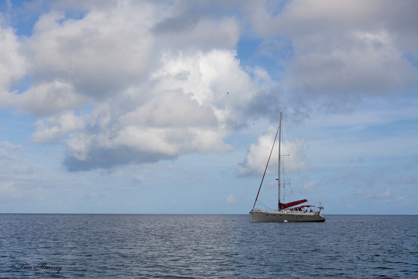 Seascape Charlotteville